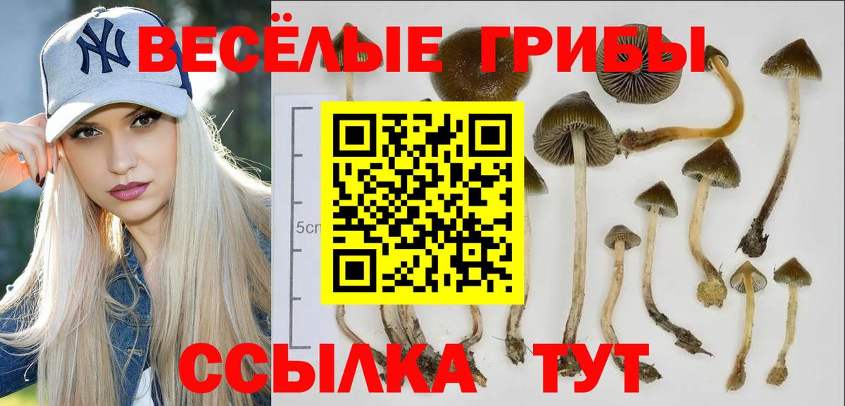 Псилоцибиновые грибы мицелий  Галлюциногенные грибы ЛСД  Белово  Вход с VPN 