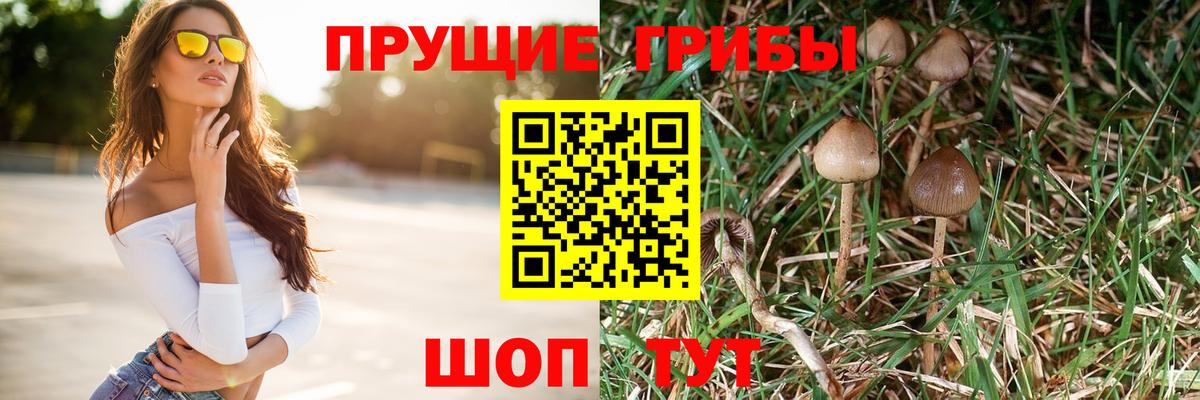 Псилоцибиновые грибы MAGIC MUSHROOMS Белово