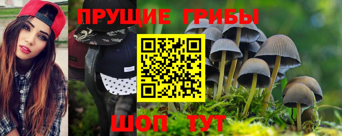 Галлюциногенные грибы прущие грибы Белово