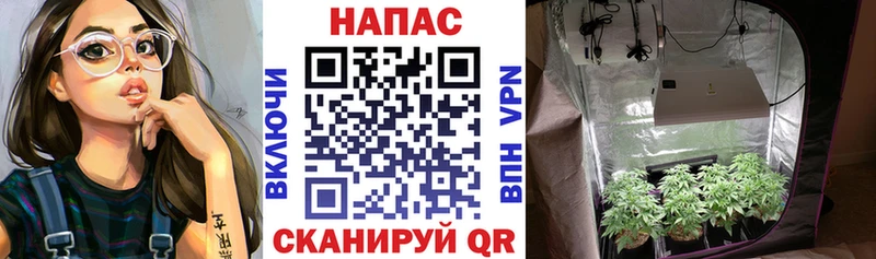 Конопля White Widow  площадка клад  Белово  ОМГ ОМГ онион 